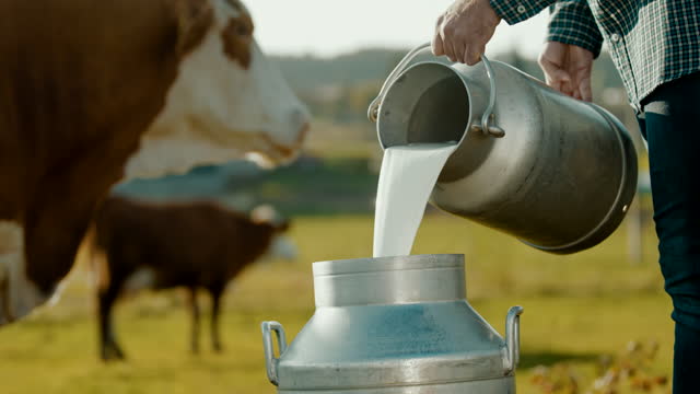 SUPER SLO MO Farmer pouring milk into the barrel on a pasture