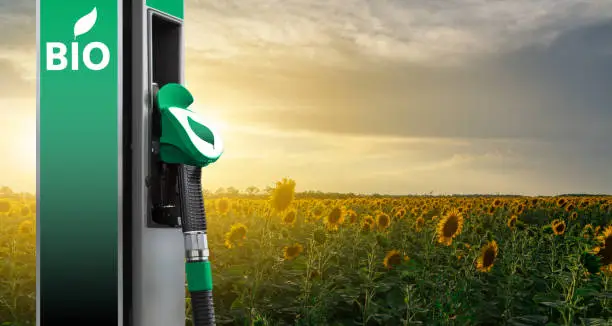 Biofuel filling station on a background of sunflower field