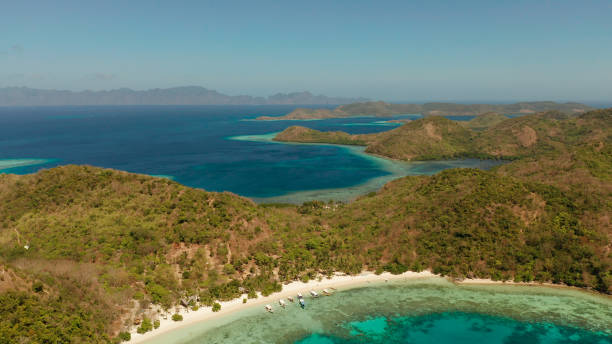 istock tropical island with sandy beach, Philippines, Palawan 1291345624