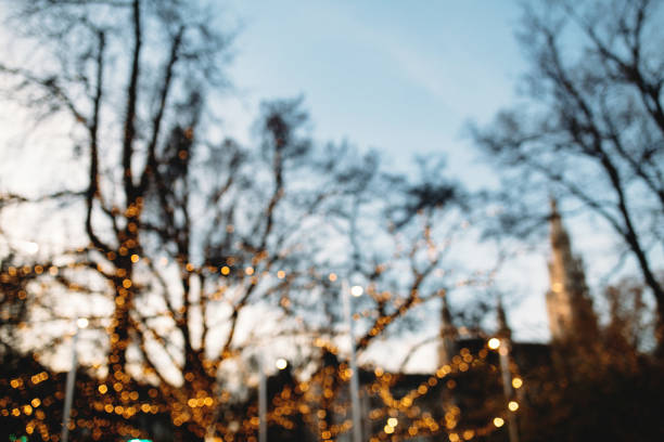 istock Blurred Christmas lights in Vienna, Austria. Christmas time 1291345746