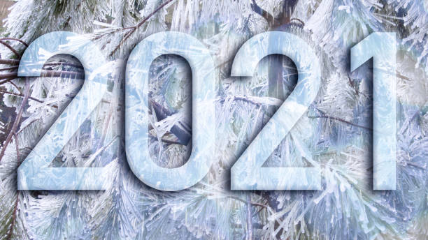 istock New Year 2021. text created over a cold toned photograph. 1291348139