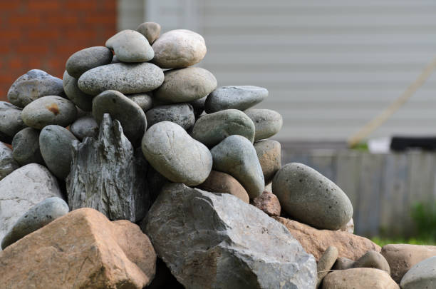 Pile of stones around dried tree close-up