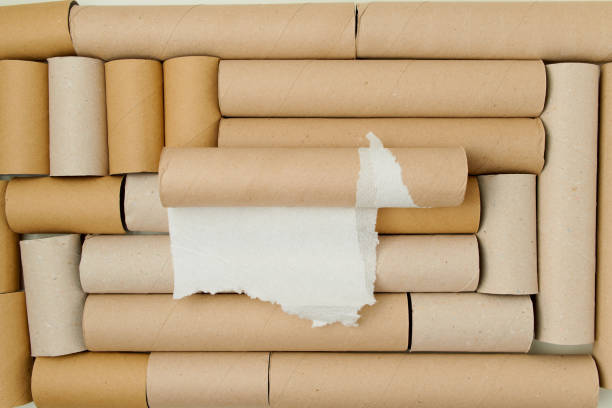 istock flat lay on toilet paper tubes background 1291349503