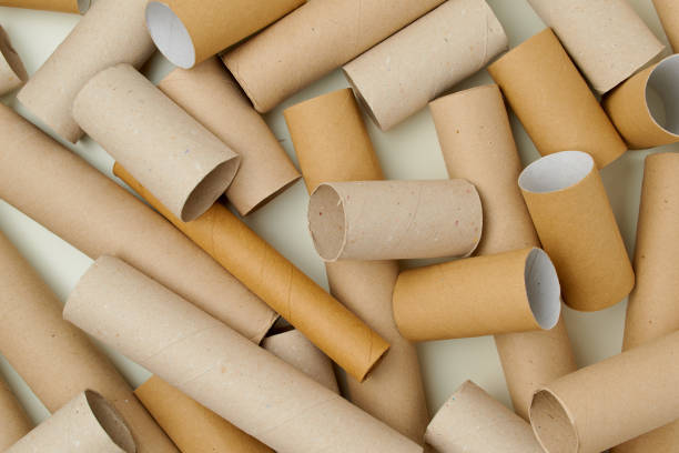 istock flat lay with toilet paper tubes 1291349569