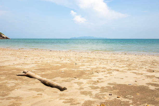 istock timber on Koh Lanta Beach 1291352753