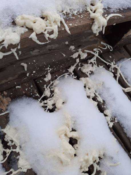 istock Dried construction foam under the snow on a pallet

￼ 1291353611