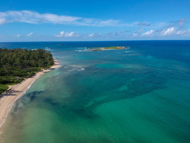 istock Ocean meets the jungle 1291356632