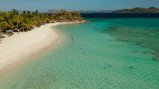 istock torpical island with white sandy beach, top view 1291356698