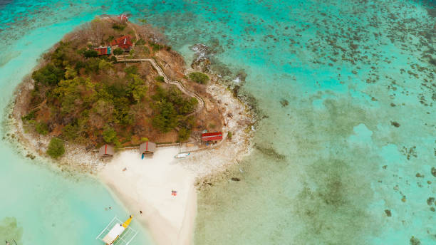 istock Small torpic island with a white sandy beach, top view 1291358255