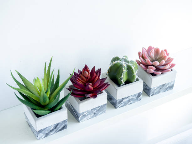 istock Concrete pot cubic shape or geometric cement planter for cactus and succulent plants. 1291360023