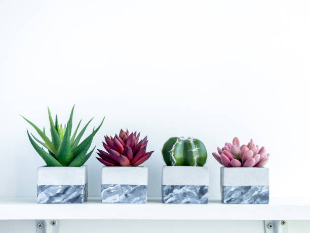 istock Concrete pot cubic shape or geometric cement planter for cactus and succulent plants. 1291360048