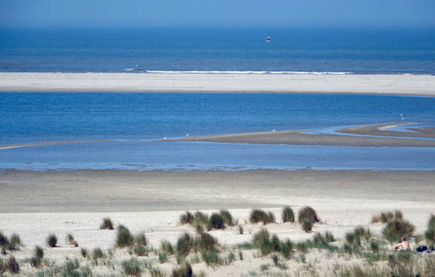 istock The beach of Kijkduin 1291360292