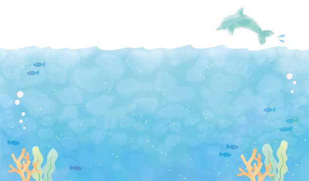 바다 모티프와 배경 일러스트 - water water surface underwater white background stock illustrations