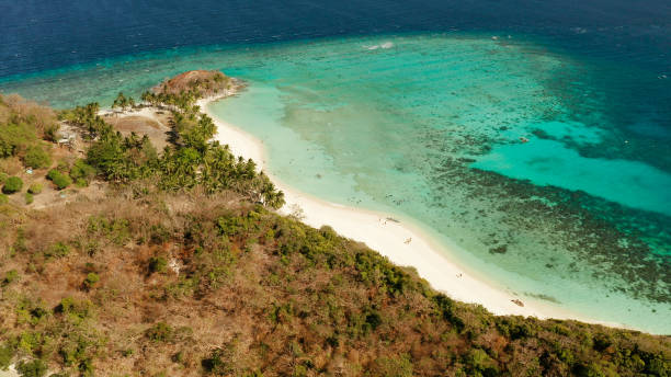 istock torpical island with white sandy beach, top view 1291361944