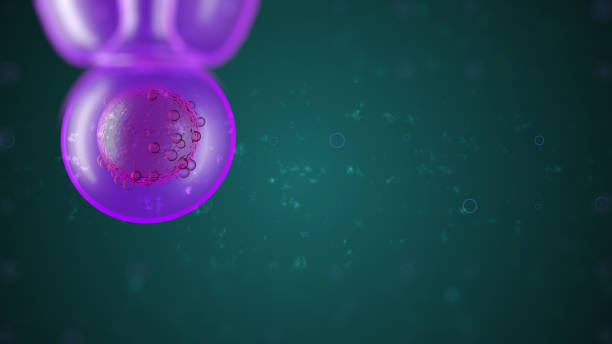 原子核の3d図は、化学元素の最小構成単位である。 - stem cell human cell animal cell science ストックフォトと画像