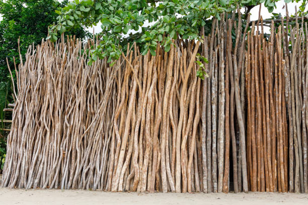 wooden poles, poles are used for house construction in Madagascar countryside. Maroantsetra street market.