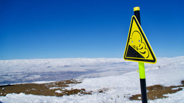 istock Ski center avalanche warning signs 1291364999