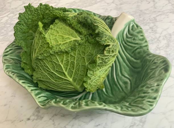 Curly green cabbage in a dish shaped like ceramic cabbage leaf
