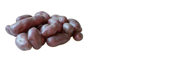 pommes de terre rouges sur fond blanc et espace de texte - red potato isolated raw potato raw photos et images de collection