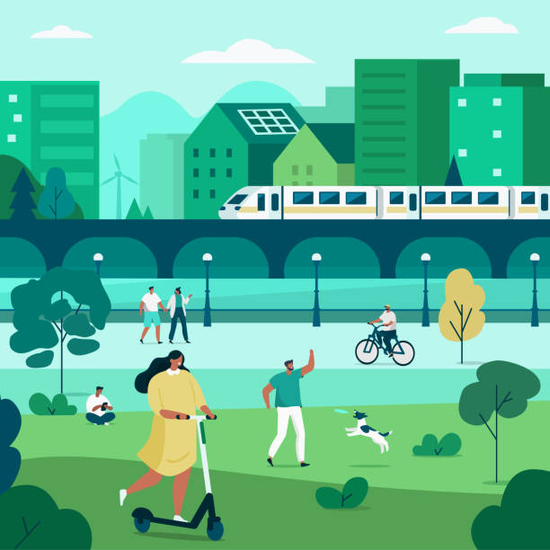 city park People Characters Walking in Urban Park. Men and Women relaxing in Nature, Walking and doing other Outdoor Leisure Activity. Modern City with Transport on Background. Flat Cartoon Vector Illustration. lifestyle illustrations stock illustrations