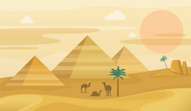 ägypten wüstenlandschaft. ägyptische pyramiden mit kamelen, afrikanische sanddünen panorama, sahara sonnenuntergang, palmen und berge. tourismus und reise-illustration vektor horizontaler hintergrund - herbivorous animals in the wild camel hoofed mammal stock-grafiken, -clipart, -cartoons und -symbole