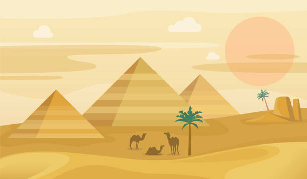 illustrazioni stock, clip art, cartoni animati e icone di tendenza di paesaggio desertico dell'egitto. piramidi egiziane con cammelli, panorama delle dune di sabbia africane, tramonto sul sahara, palme e montagne. turismo e illustrazione di viaggio vettore sfondo orizzontale - horizon over land tree sunset hill