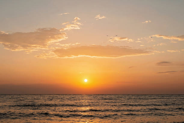 istock Colorful sunset on a sandy beach, waves with foam on the sand. Ocean, coast. Soft selective focus. 1291369872
