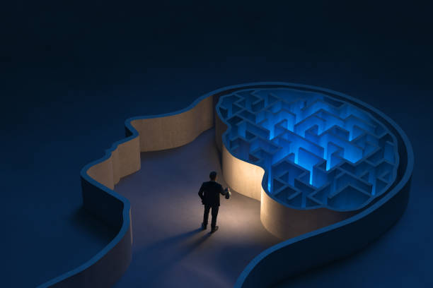 Seeking solutions in the human brain Seeking solutions in the maze-shaped human brain, 3D - Computer generated image human brain stock pictures, royalty-free photos & images