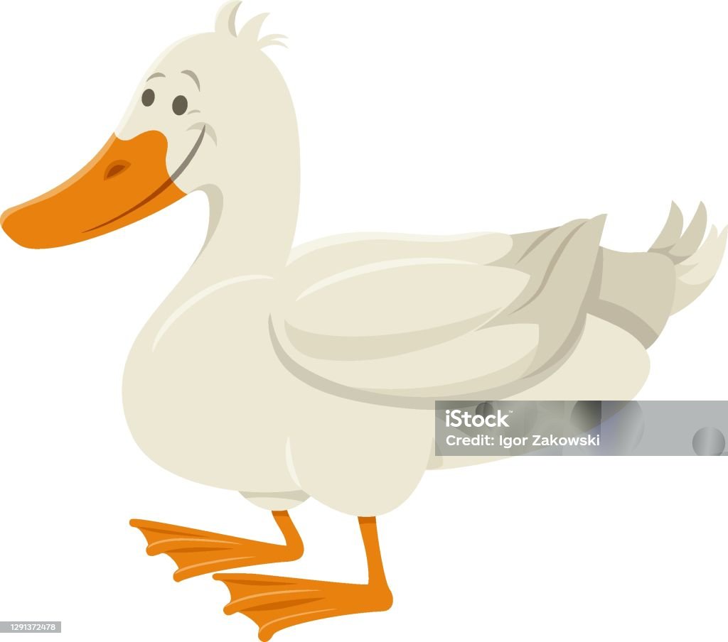 Ilustración de Personaje Animal De Granja De Aves De Pato De Dibujos  Animados y más Vectores Libres de Derechos de Cola - Parte del cuerpo animal  - iStock