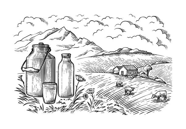 здоровый завтрак рисунок эскиз стеклянной бутылки молока железа может чашки поле корова vilage вектор - food jar backgrounds breakfast stock illustrations