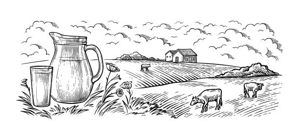 gesunde frühstück zeichnung skizze glas milchflasche eisen dose tasse kuh vilage vektor - milchprodukte stock-grafiken, -clipart, -cartoons und -symbole