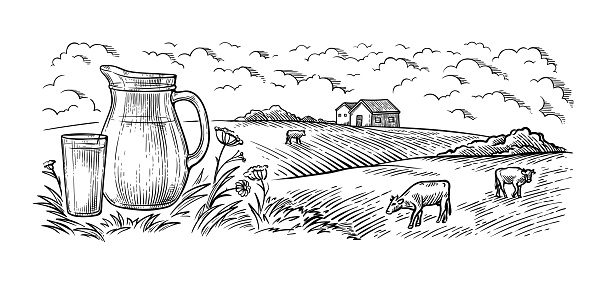 healthy Breakfast drawing sketch glass milk bottle iron can cup field cow vilage vector illustration