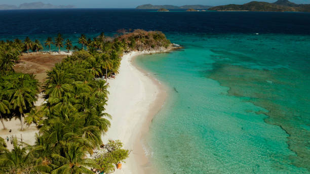 istock torpical island with white sandy beach, top view 1291374445