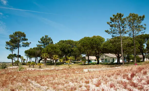 Photo of Herdade da Comporta, located in Setúbal Peninsula