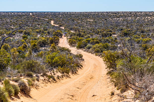 istock Long, winding, sandy, desert road in summer 1291377184