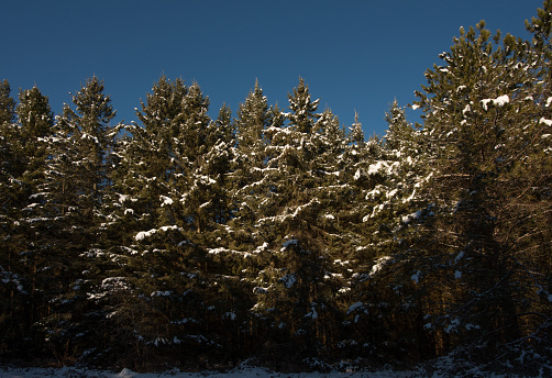 Natural conservation area In Ontario