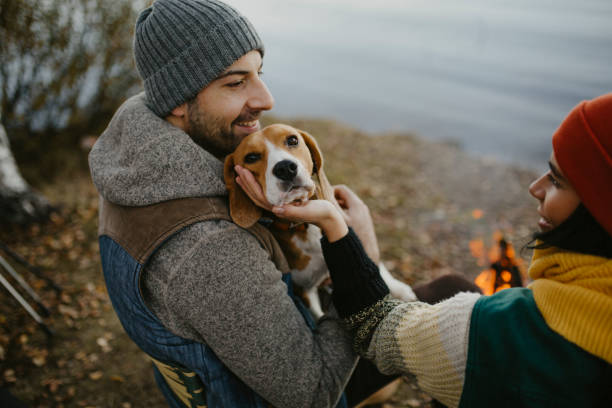 istock Young avantur couple is camping 1291379253