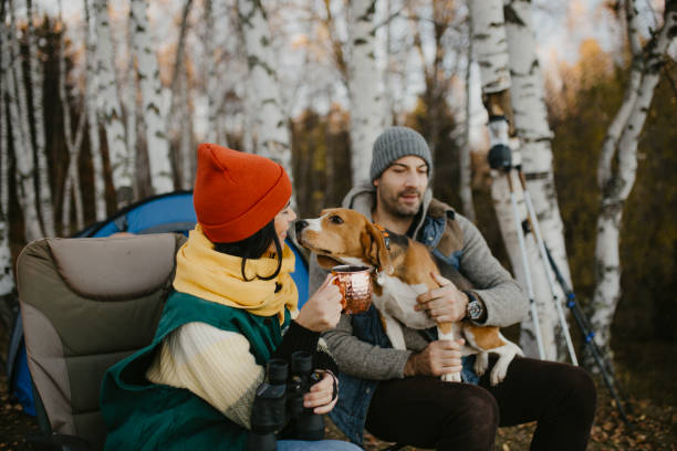 istock Young avantur couple is camping 1291379280
