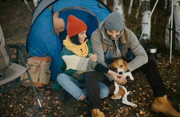 istock Young avantur couple is camping 1291379742