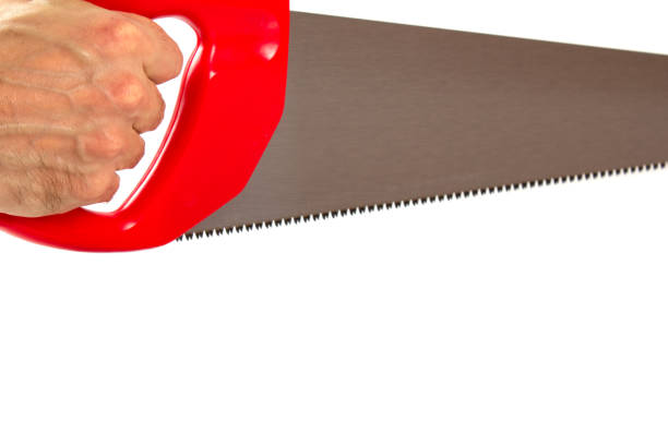 istock Man holding Cross cut hand saw with red plastic handle. Isolated on a white background. 1291380841