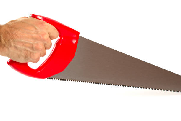 istock Man holding Cross cut hand saw with red plastic handle. Isolated on a white background. 1291380907