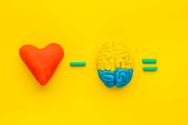 istock Emotional intelligence concept with brain and heart, top view 1291381039