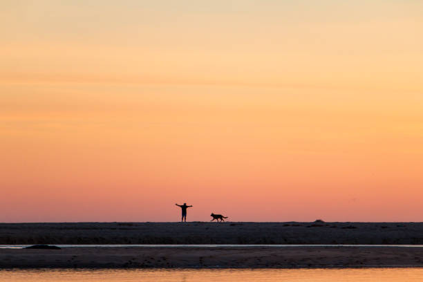 Man running along the beach with his dog during a stunning sunset.