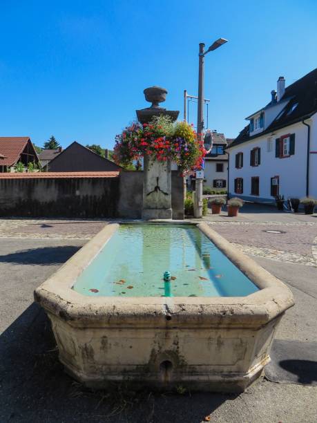 istock Fountain with Flowers in Weil am Rhein Germany 1291387507