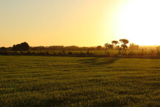 istock Sunset at the countryside 1291387622