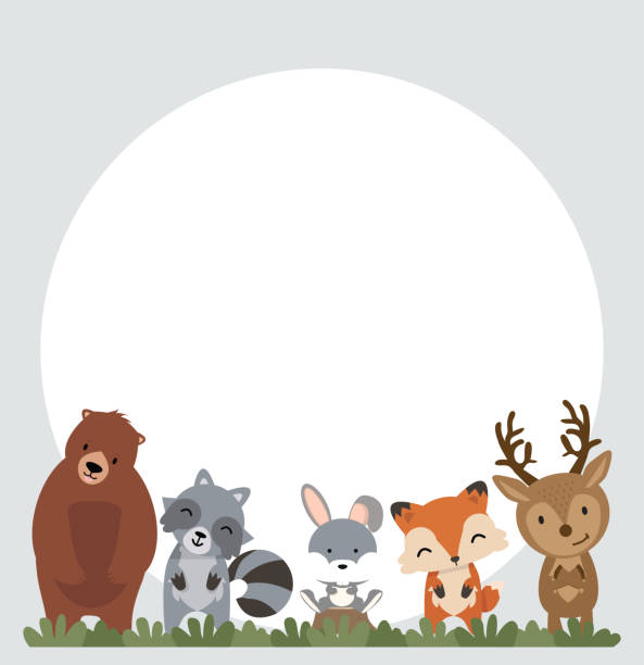 illustrazioni stock, clip art, cartoni animati e icone di tendenza di insieme di animali boschivi sfondo - bosco