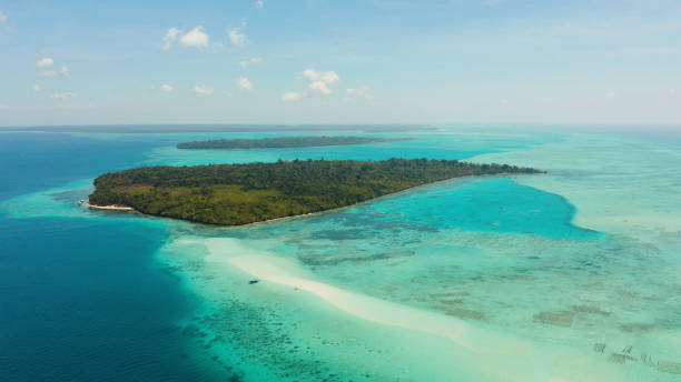 istock Sandy beach in the lagoon with turquoise water. Balabac, Palawan, Philippines 1291389484