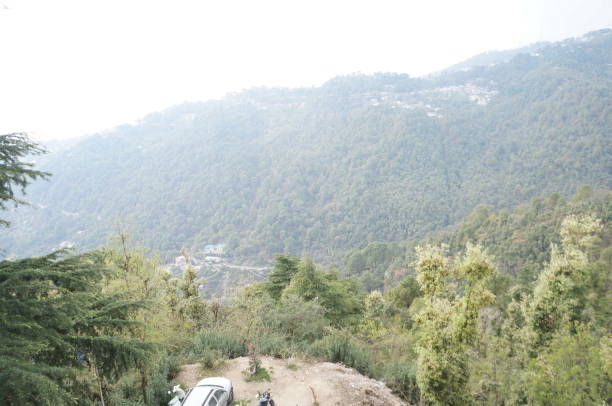istock Landscape of Mcleod Ganj, India 1291390202