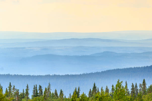 istock Rolling landscape view with shadings in sunrise 1291391917