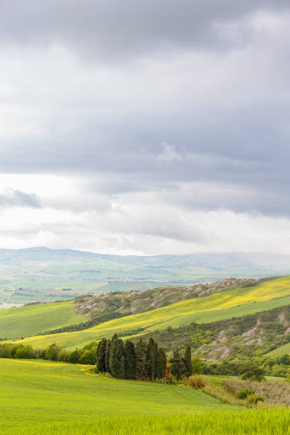 istock View of a valley of fields and cypress trees 1291392154